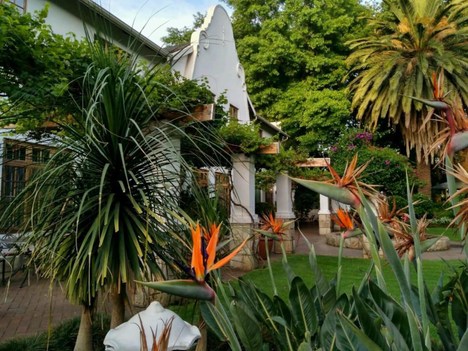 Le Chateau Guest House And Conference Centre, House, Building, Architecture, Palm Tree, Plant, Nature, Wood, Garden