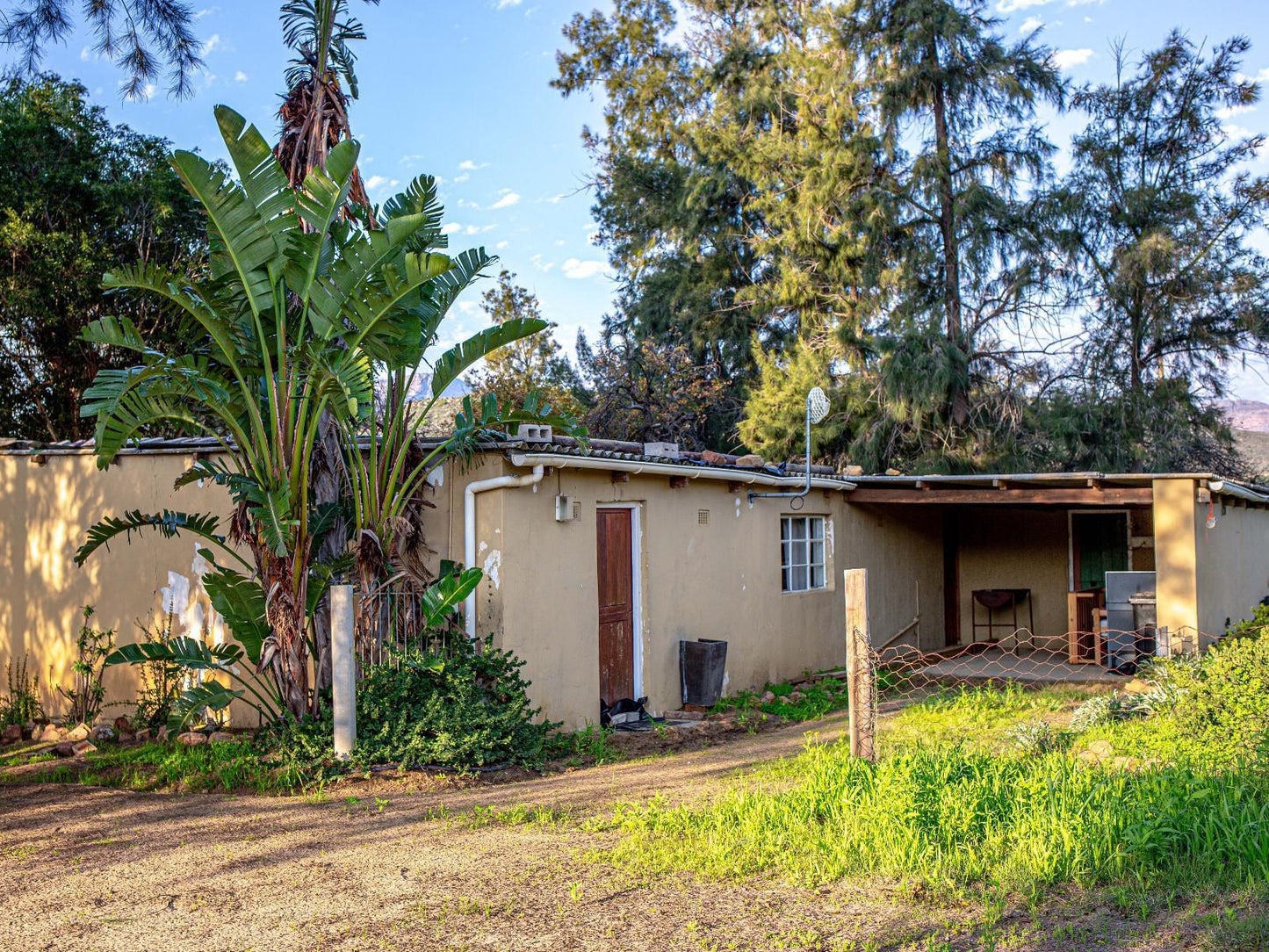 Lebanon Citrus Holiday Farm, 4 sleeper Bungalow with outside bathroom, House, Building, Architecture, Palm Tree, Plant, Nature, Wood