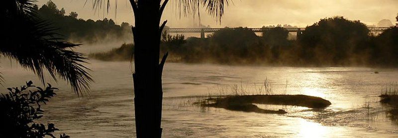 Le Bonheur Guest Manor Upington Northern Cape South Africa Sepia Tones, Palm Tree, Plant, Nature, Wood, River, Waters