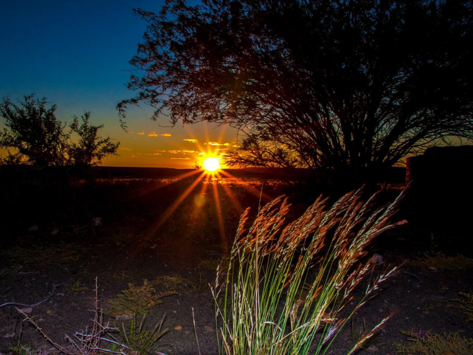 Grootfontein Farm House Karoo National Park Western Cape South Africa Lowland, Nature, Sunset, Sky