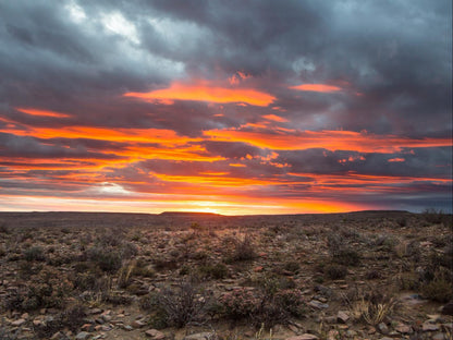 Grootfontein Farm House Karoo National Park Western Cape South Africa Desert, Nature, Sand, Sunset, Sky