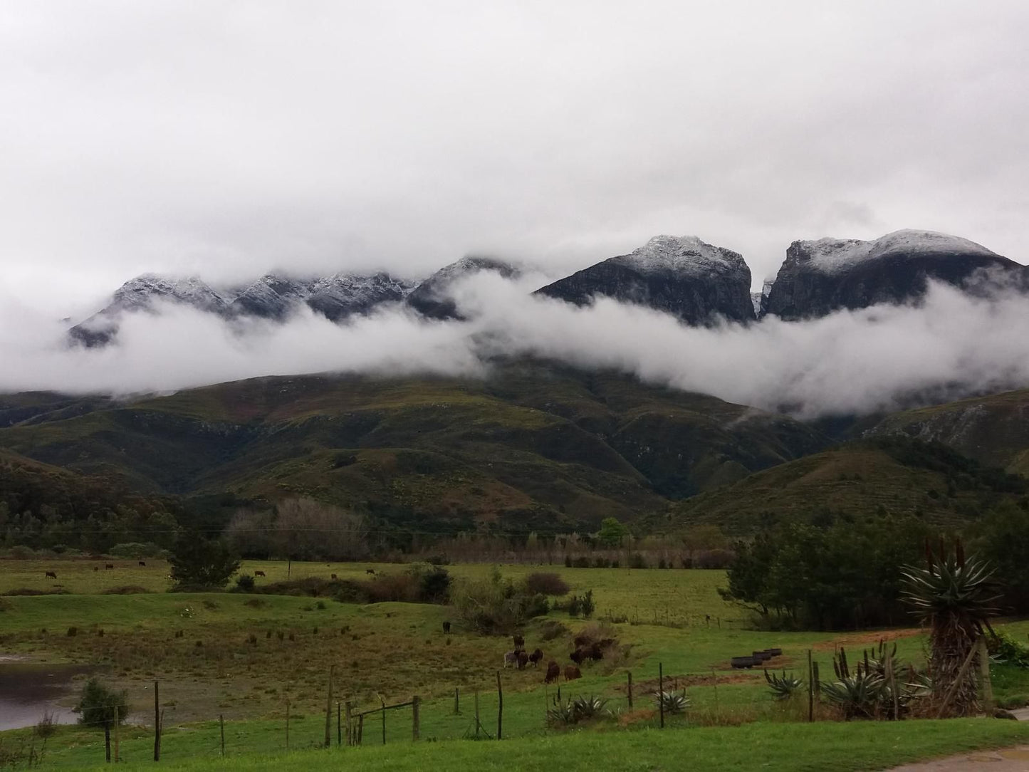 Leeurivier Onder Die Hoogte Swellendam Western Cape South Africa Mountain, Nature, Highland