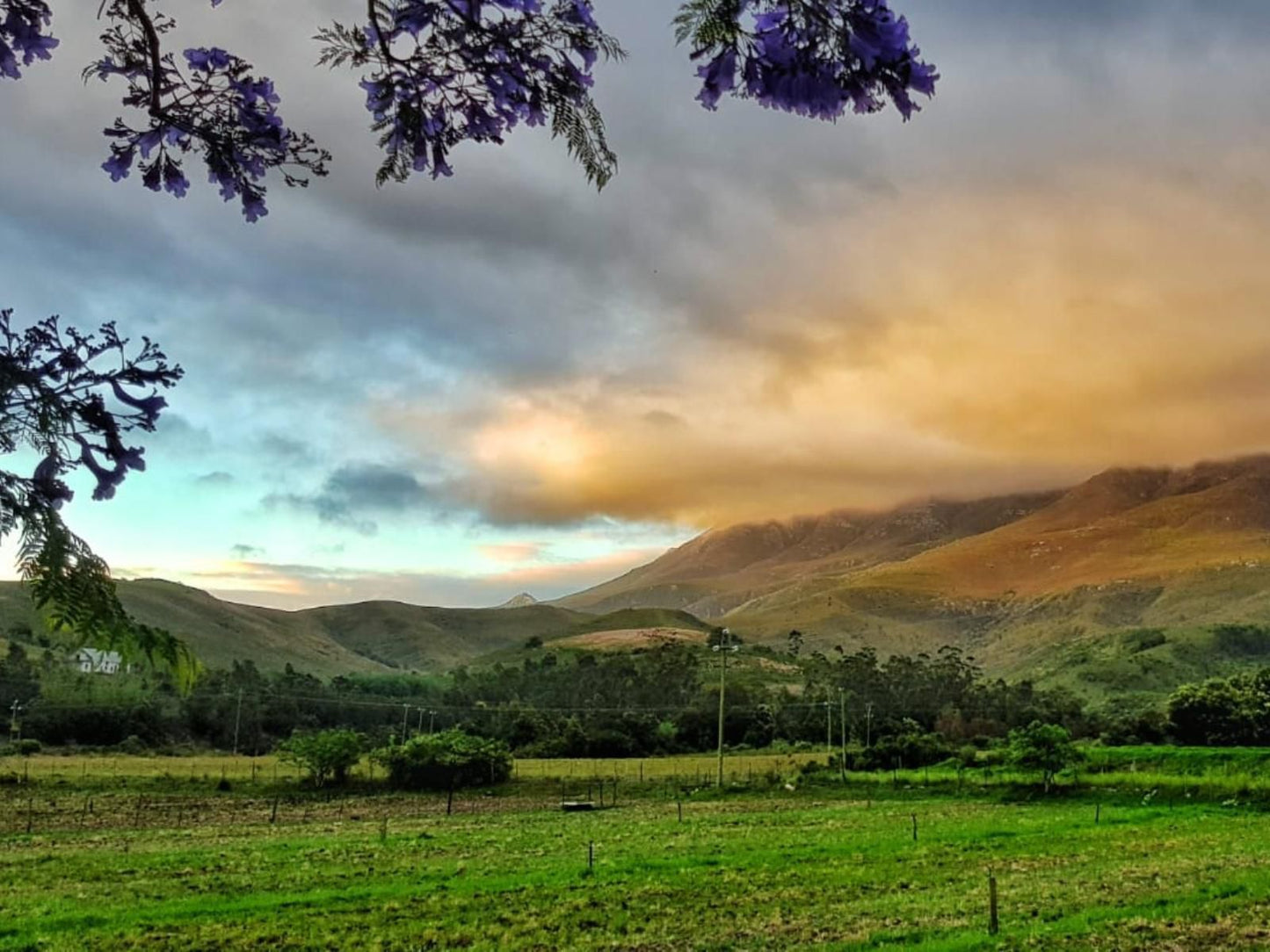 Leeurivier Onder Die Hoogte Swellendam Western Cape South Africa Nature