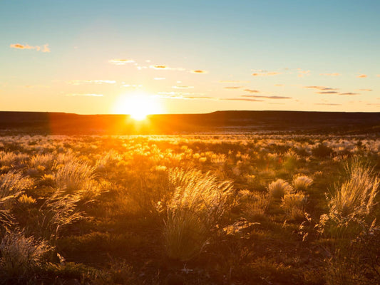 Leeurivier Veldhuis Central Karoo Western Cape South Africa Colorful, Lowland, Nature, Sunset, Sky