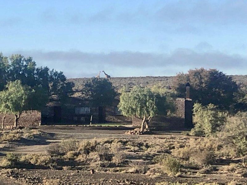 Leeurivier Veldhuis Central Karoo Western Cape South Africa Building, Architecture, Cactus, Plant, Nature, Ruin, Desert, Sand, Lowland