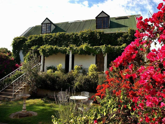 Leeuwenbosch Country House Amakhala Game Reserve Amakhala Game Reserve Eastern Cape South Africa House, Building, Architecture, Plant, Nature, Garden