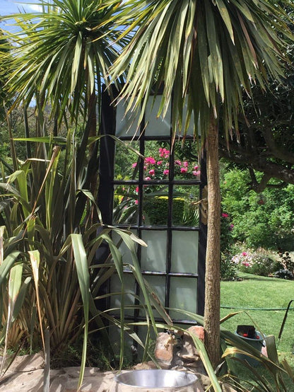 Leeuwenhof Guesthouse Caledon Western Cape South Africa Palm Tree, Plant, Nature, Wood, Garden