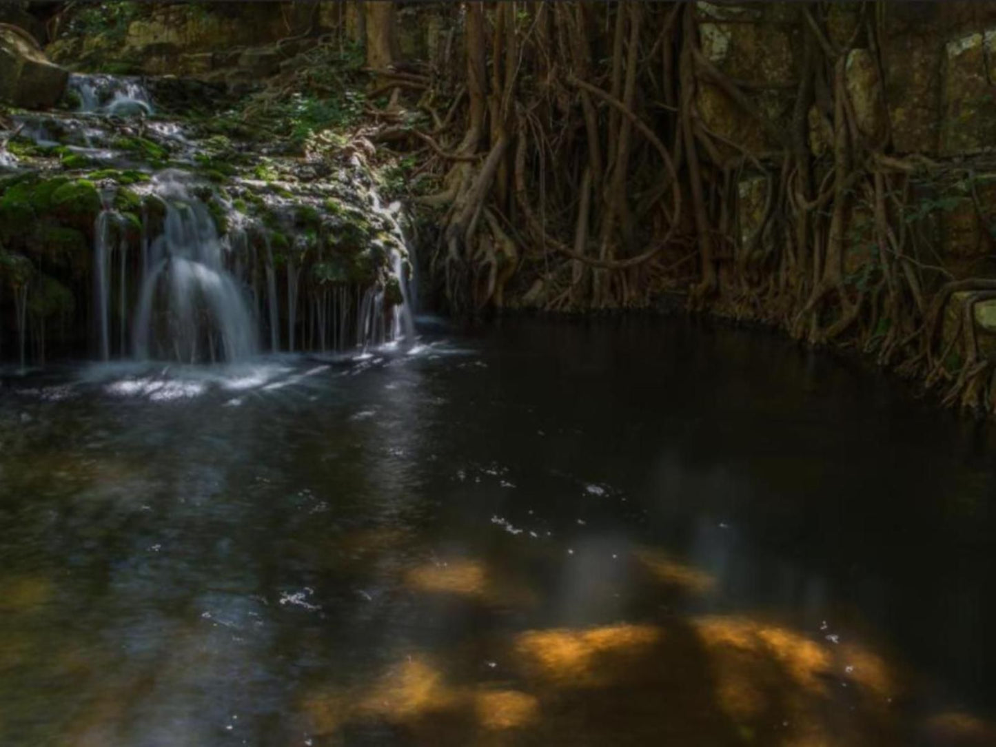 Le Gallerie Luxury Accommodation Graskop Graskop Mpumalanga South Africa Forest, Nature, Plant, Tree, Wood, River, Waters, Waterfall