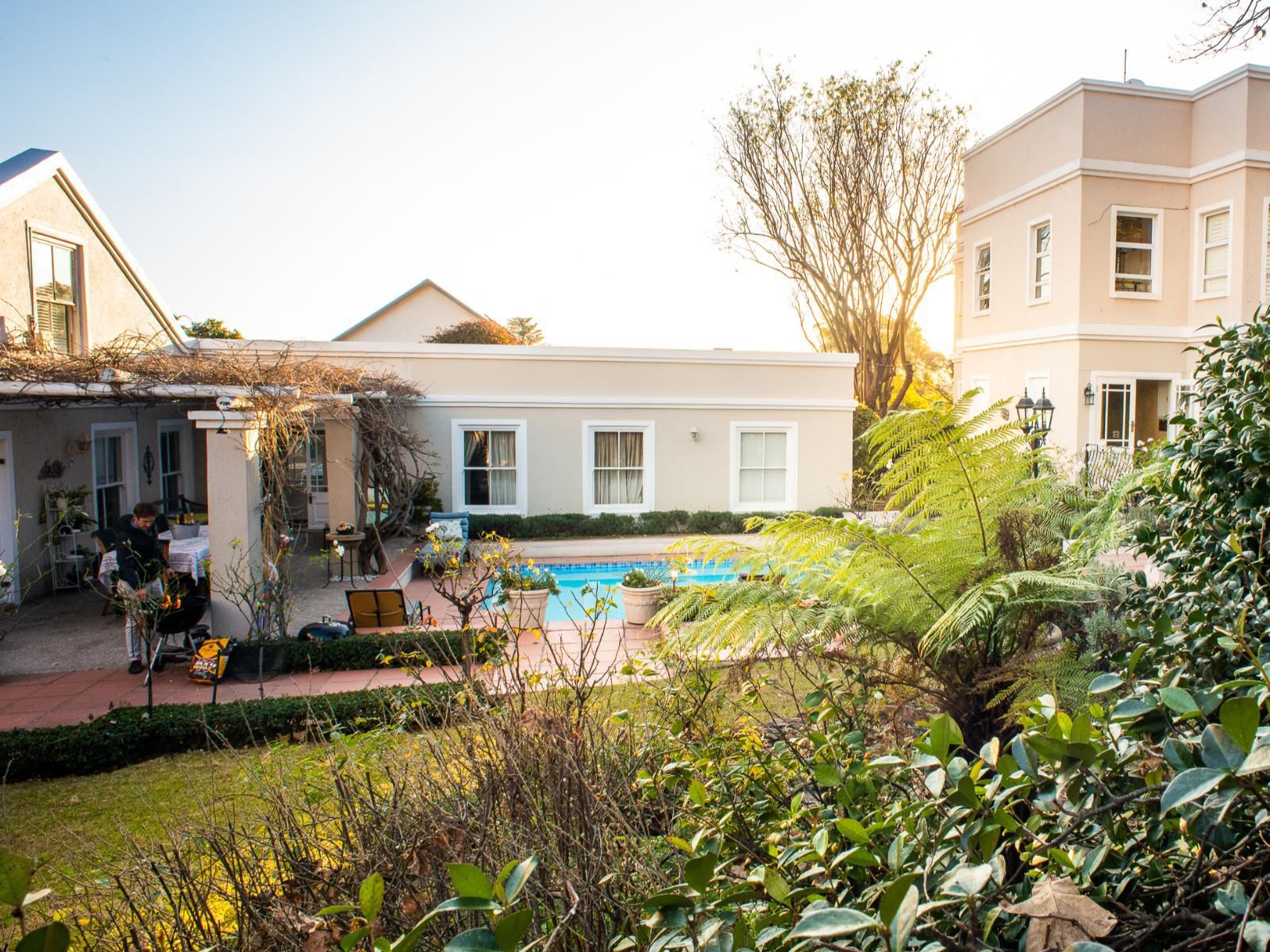 Leighwood Lodge Parktown North Johannesburg Gauteng South Africa House, Building, Architecture, Palm Tree, Plant, Nature, Wood, Garden