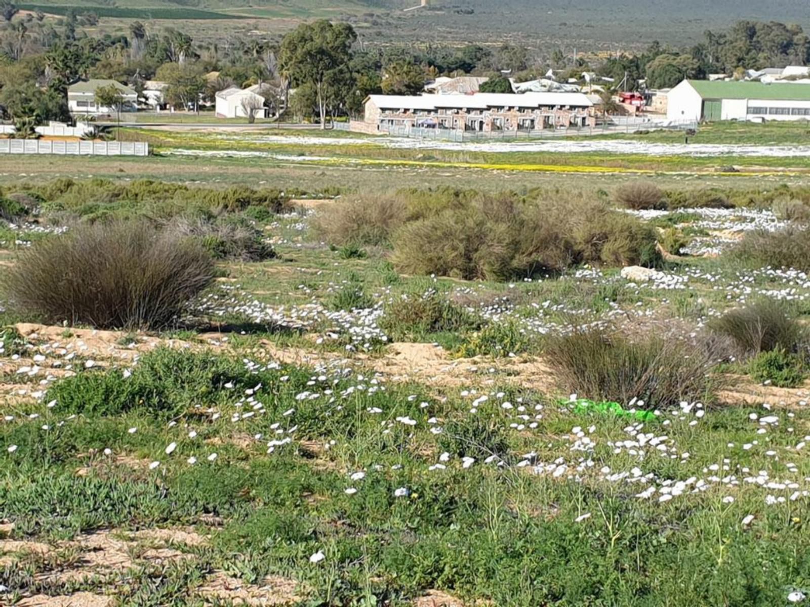 Clanwilliam Accommodation Clanwilliam Western Cape South Africa Field, Nature, Agriculture