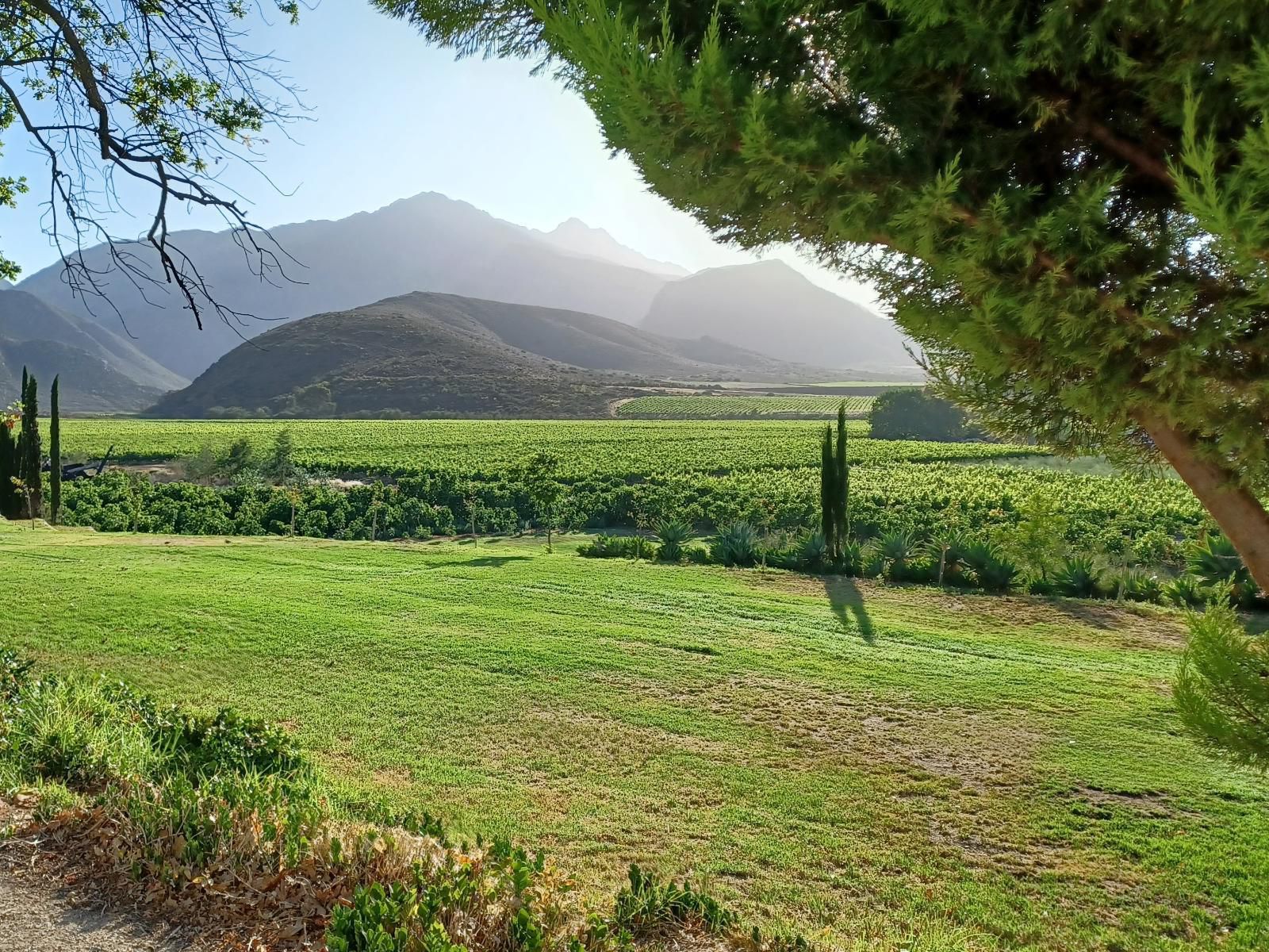 Leipzig Country House & Winery, Mountain, Nature