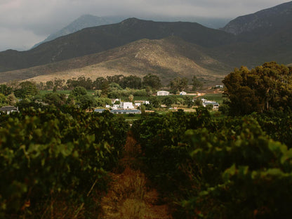 Leipzig Country House Nuy Western Cape South Africa Mountain, Nature, Highland