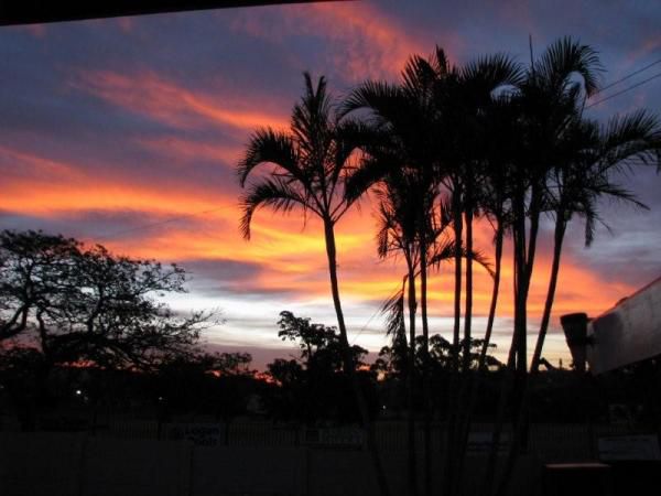 Leisure Lodge Bandb Stirling East London Eastern Cape South Africa Palm Tree, Plant, Nature, Wood, Sky, Framing, Sunset