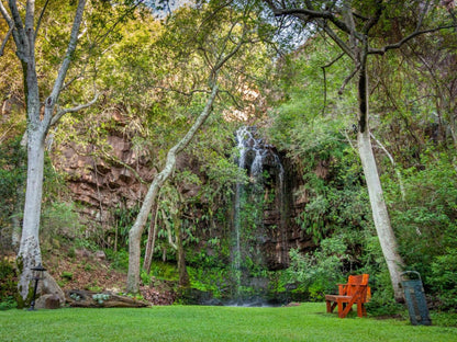 Lejwe La Metsi Intaba Indle Wilderness Estate Bela Bela Warmbaths Limpopo Province South Africa Waterfall, Nature, Waters, Garden, Plant