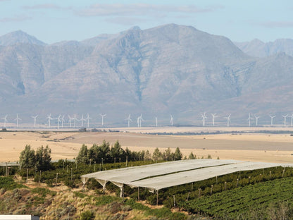 Lekkerberg Riebeek Kasteel Western Cape South Africa Complementary Colors, Wind Wheel, Technology