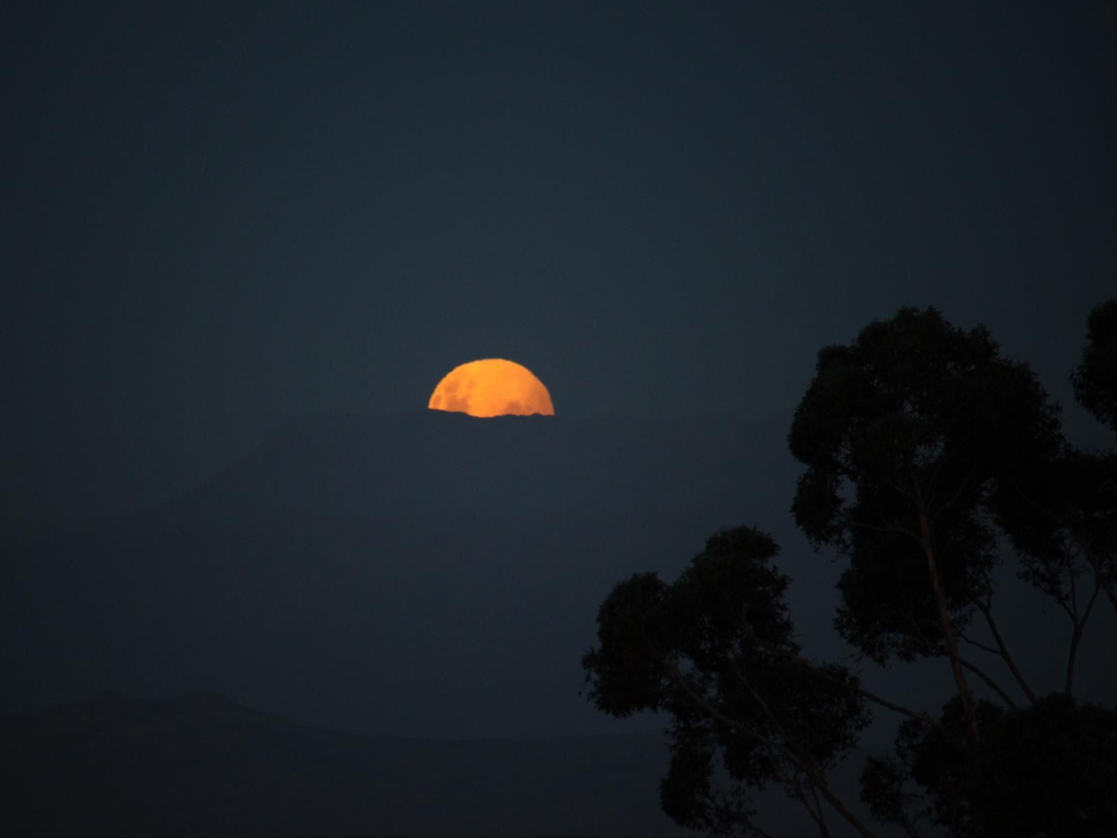 Lekkerberg Riebeek Kasteel Western Cape South Africa Moon, Nature