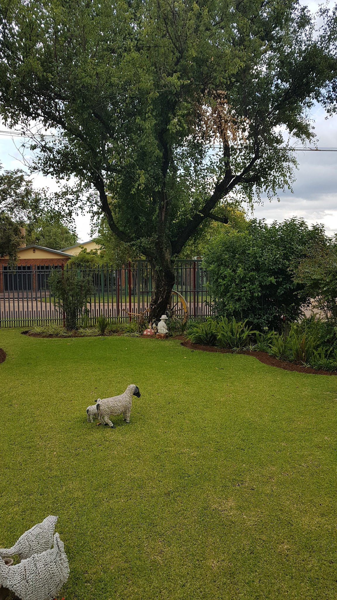 Lekkerbly Chalet Guest House Modimolle Nylstroom Limpopo Province South Africa Dog, Mammal, Animal, Pet, Plant, Nature, Tree, Wood, Garden