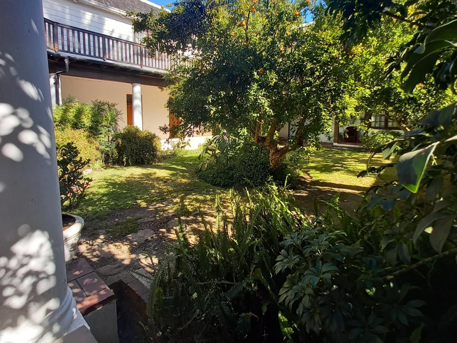 Lekkerwijn Historic Country Guest House Franschhoek Western Cape South Africa House, Building, Architecture, Palm Tree, Plant, Nature, Wood, Garden