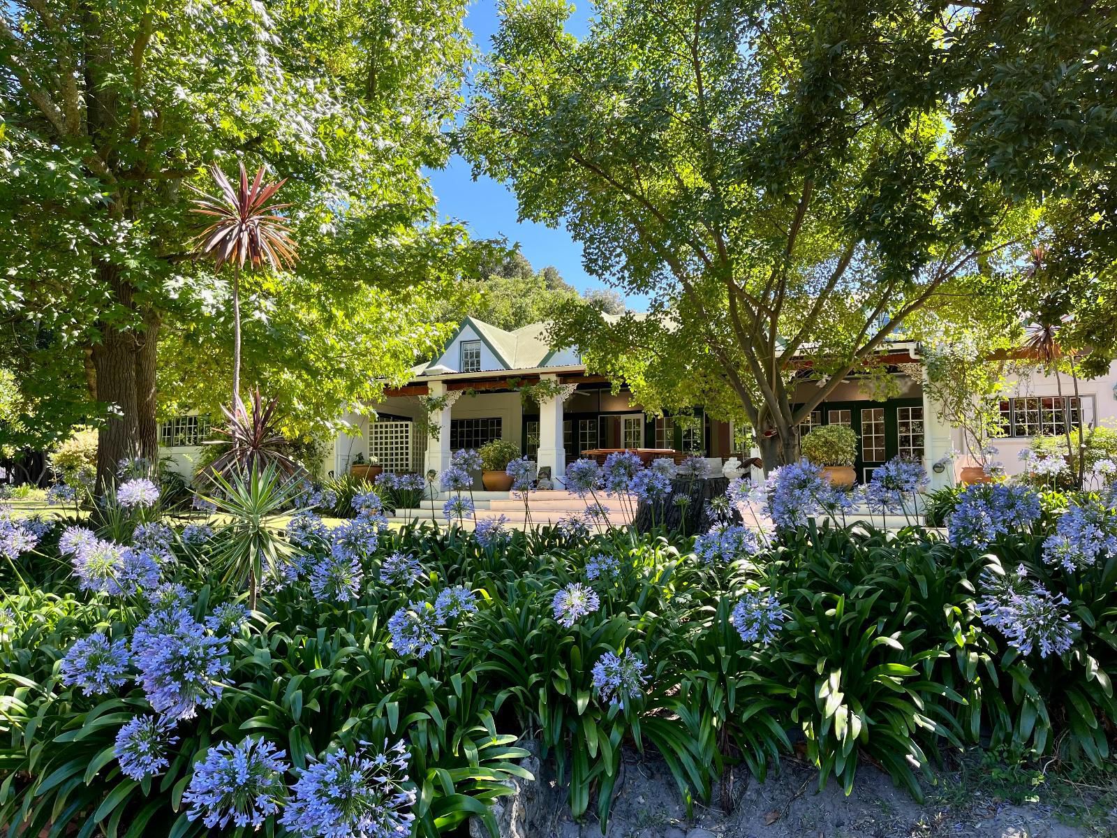 Le Manoir De Brendel Franschhoek Western Cape South Africa House, Building, Architecture, Plant, Nature, Garden