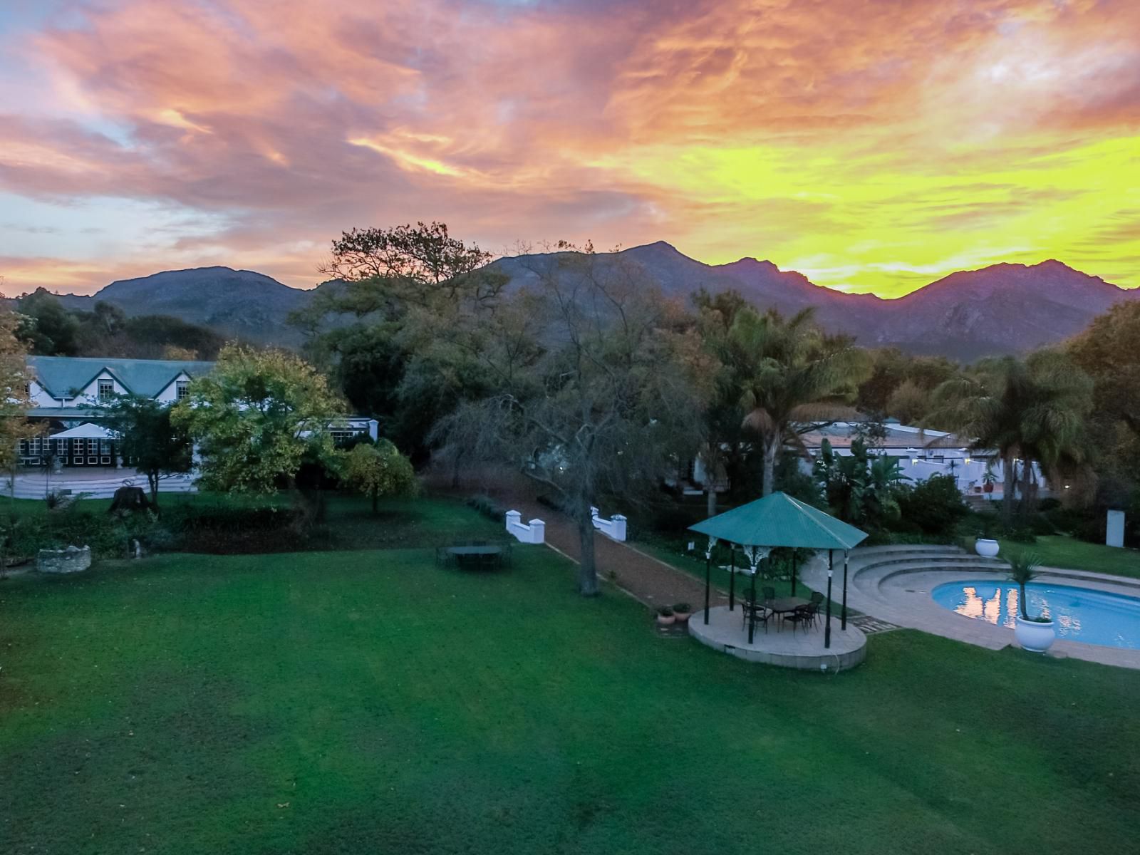 Le Manoir De Brendel Franschhoek Western Cape South Africa Palm Tree, Plant, Nature, Wood, Sunset, Sky