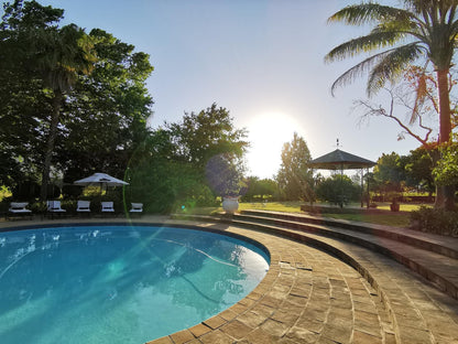 Le Manoir De Brendel Franschhoek Western Cape South Africa Complementary Colors, Palm Tree, Plant, Nature, Wood, Swimming Pool