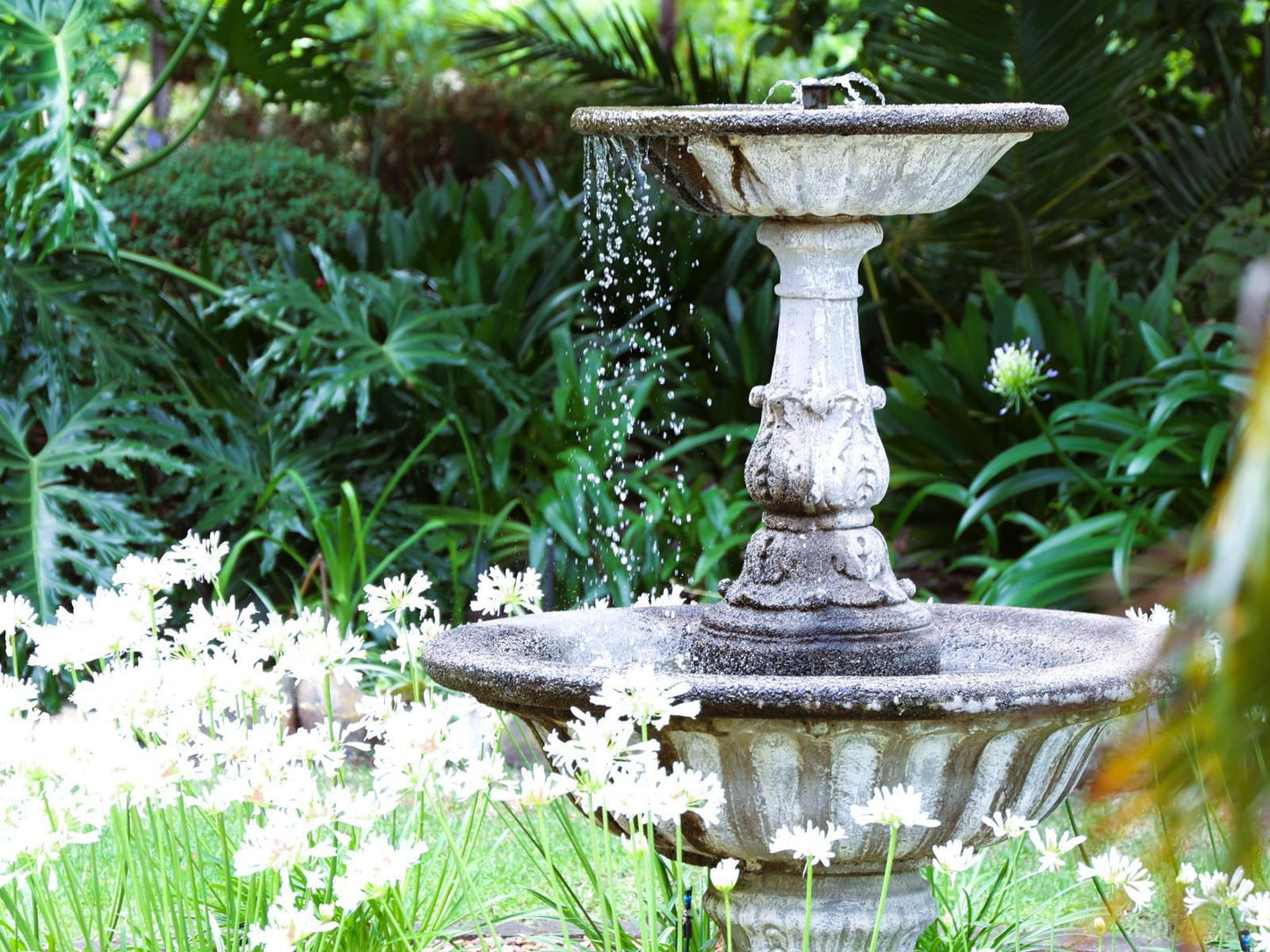 Le Manoir De Brendel Franschhoek Western Cape South Africa Fountain, Architecture, Plant, Nature, Garden