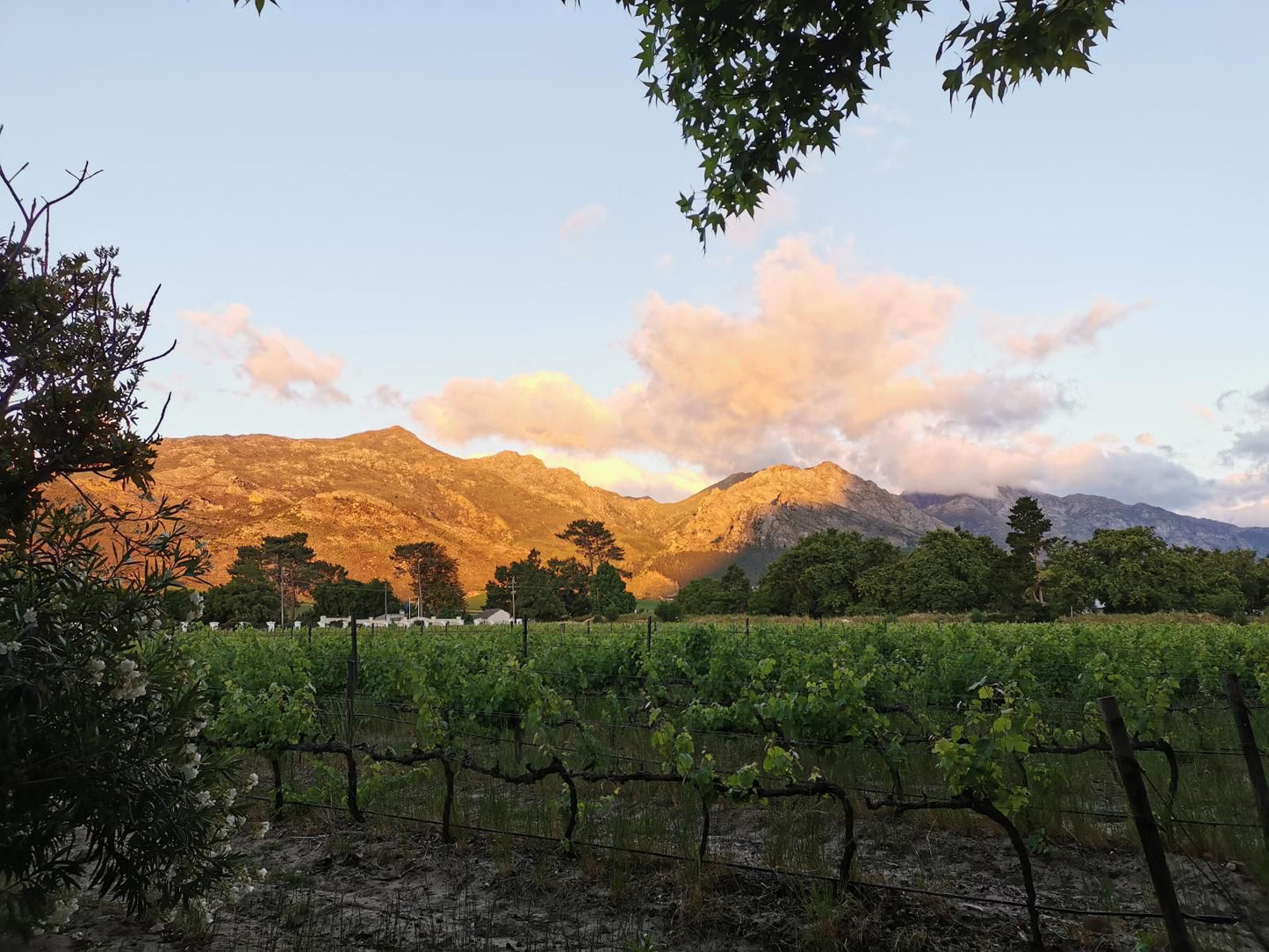 Le Manoir De Brendel Franschhoek Western Cape South Africa Complementary Colors