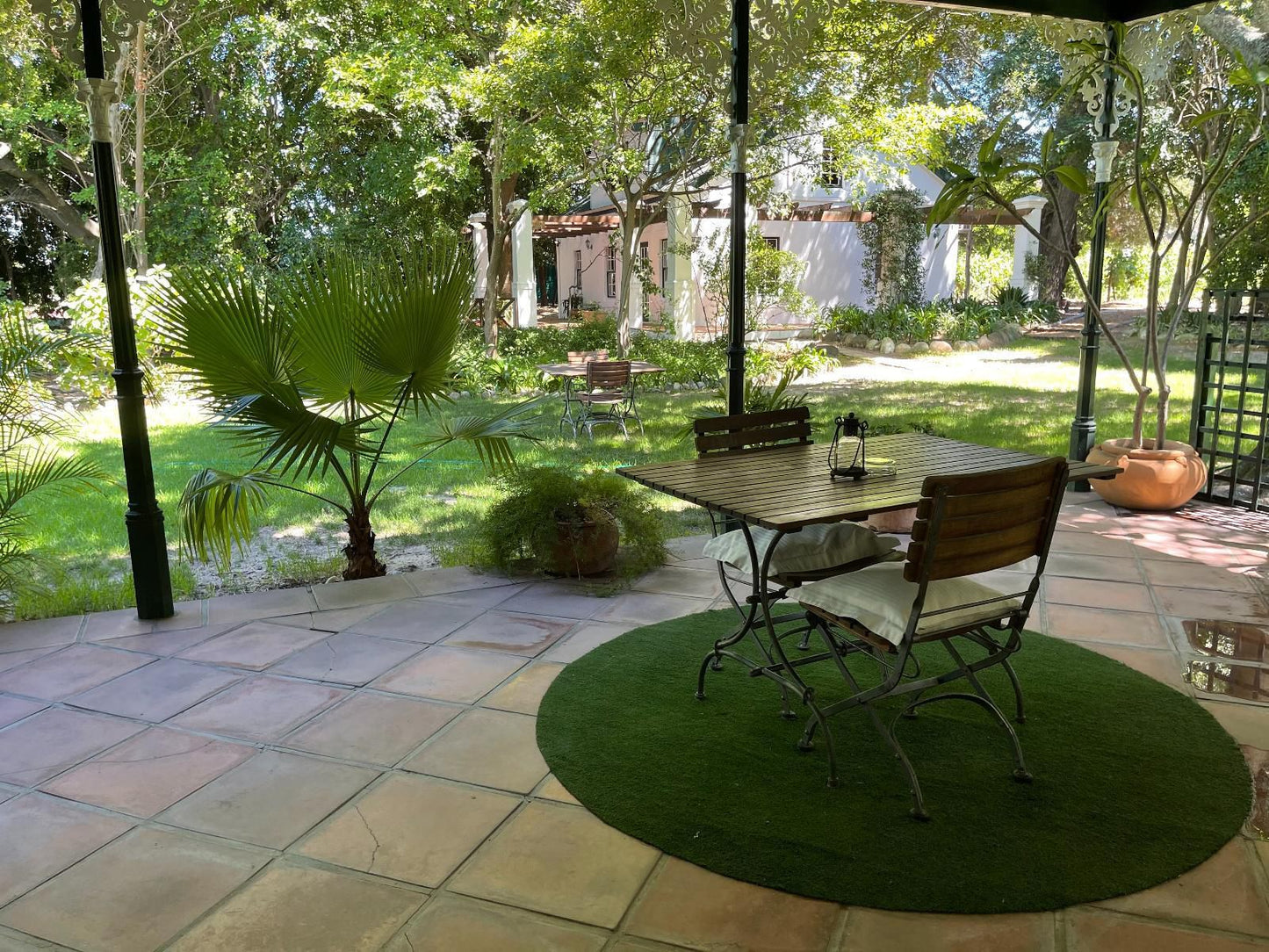 Le Manoir De Brendel Franschhoek Western Cape South Africa Palm Tree, Plant, Nature, Wood, Garden, Living Room