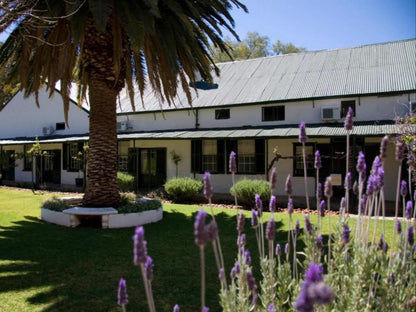 Lemoenfontein Game Lodge Beaufort West Western Cape South Africa House, Building, Architecture, Plant, Nature
