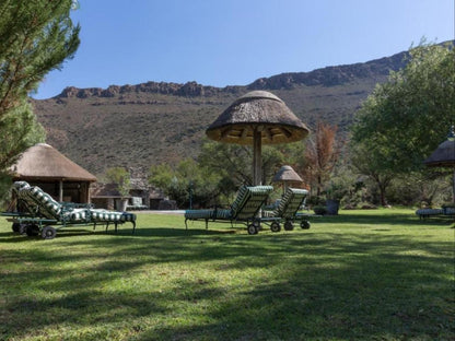 Lemoenfontein Game Lodge Beaufort West Western Cape South Africa Complementary Colors