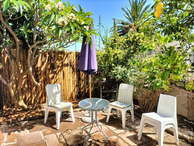 Lemon Tree Cottage Edgemead Cape Town Western Cape South Africa Palm Tree, Plant, Nature, Wood, Garden