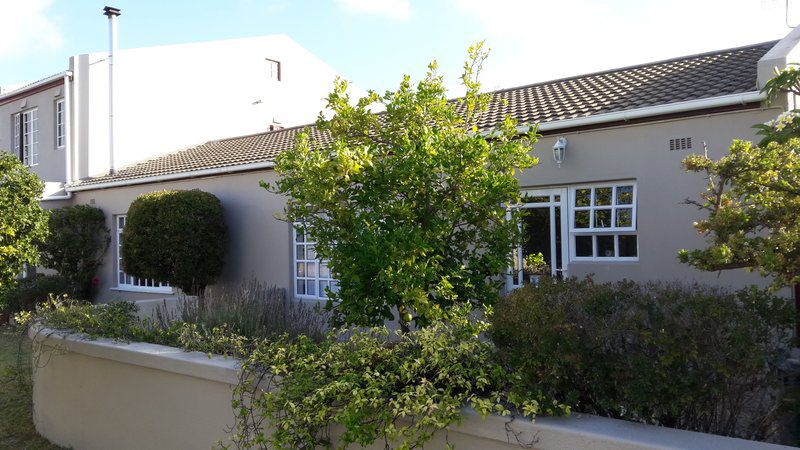 Lemon Tree Cottage Edgemead Cape Town Western Cape South Africa House, Building, Architecture, Window