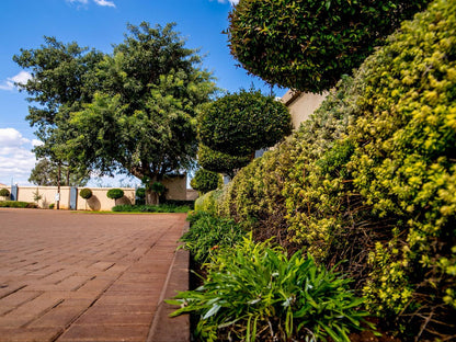 Lempitse Lodge Lebowakgomo Limpopo Province South Africa House, Building, Architecture, Plant, Nature, Garden