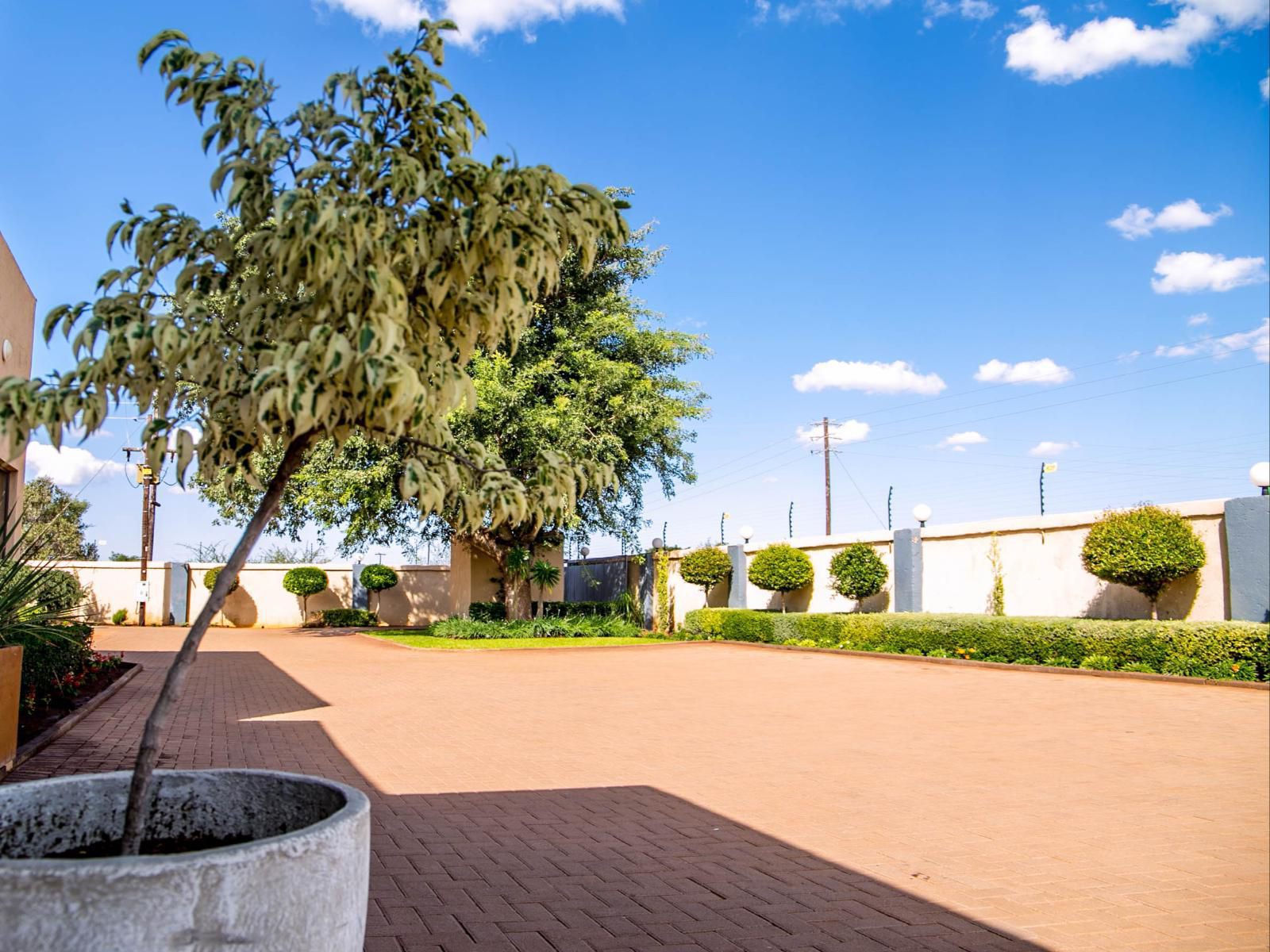 Lempitse Lodge Lebowakgomo Limpopo Province South Africa Complementary Colors, Plant, Nature