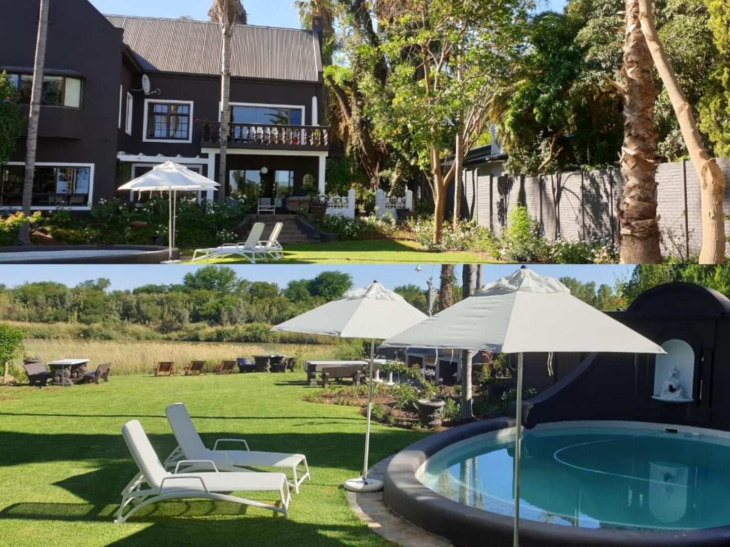 Le Must River Residence Upington Northern Cape South Africa House, Building, Architecture, Palm Tree, Plant, Nature, Wood, Swimming Pool