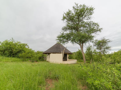 Lengau Lodge Grietjie Nature Reserve Limpopo Province South Africa 