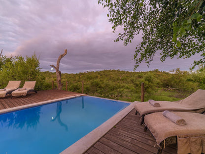 Lengau Lodge Grietjie Nature Reserve Limpopo Province South Africa Complementary Colors, Swimming Pool