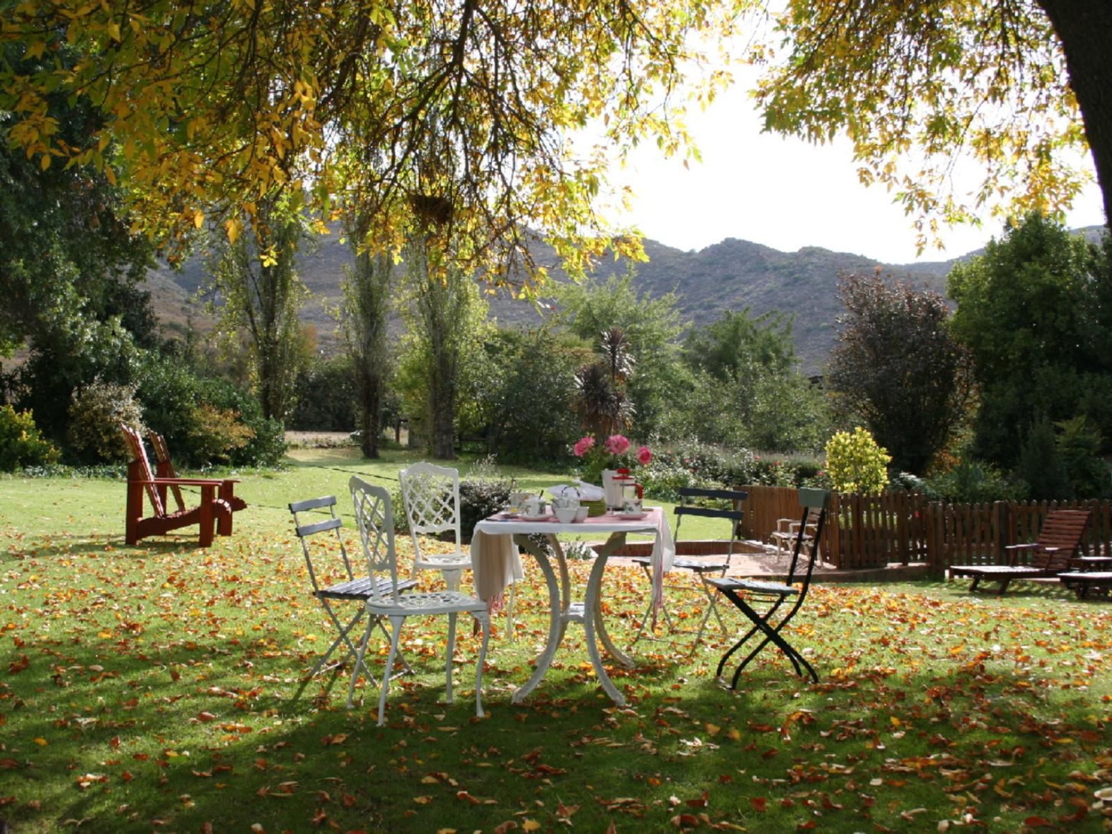 Lentelus Farmstay, Autumn, Nature, Garden, Plant