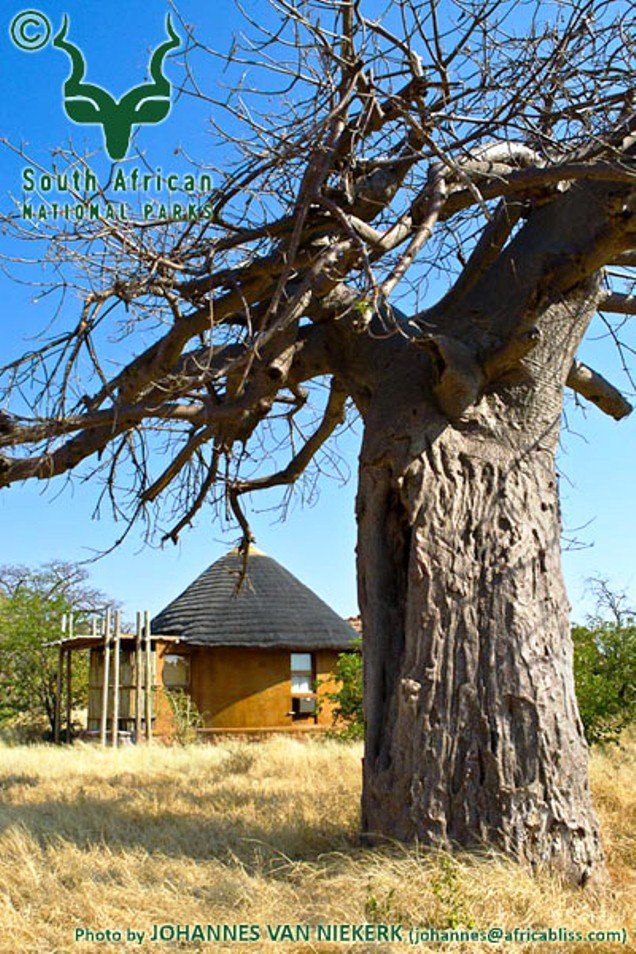 Leokwe Rest Camp Mapungubwe National Park Sanparks Mapungubwe National Park Limpopo Province South Africa Complementary Colors, Building, Architecture