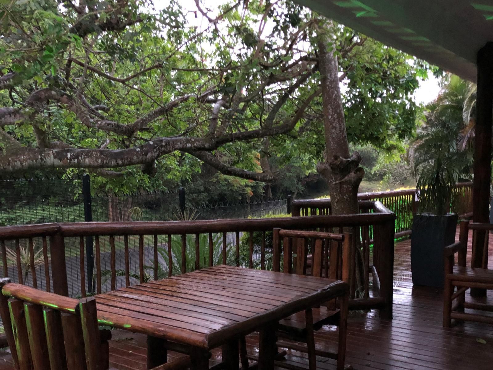 Leopard Corner Lodge, Tree, Plant, Nature, Wood