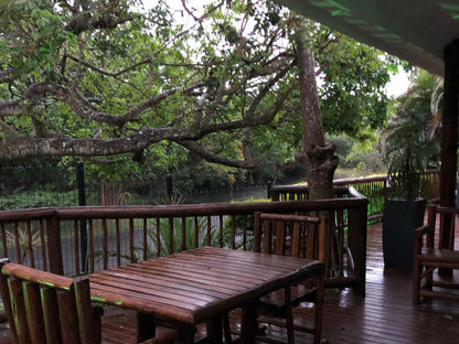 Leopard Corner Lodge, Tree, Plant, Nature, Wood