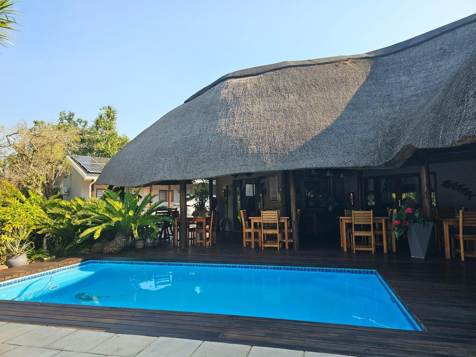 Leopard Corner Lodge, Swimming Pool