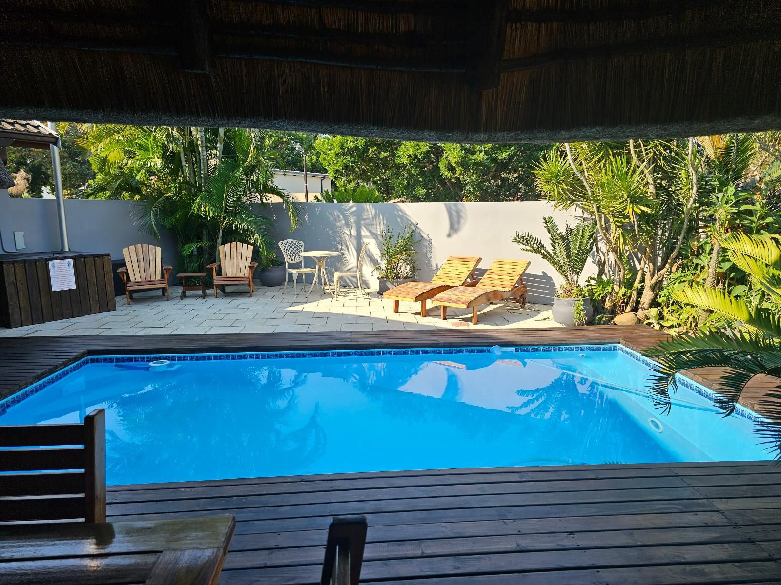 Leopard Corner Lodge, Palm Tree, Plant, Nature, Wood, Swimming Pool