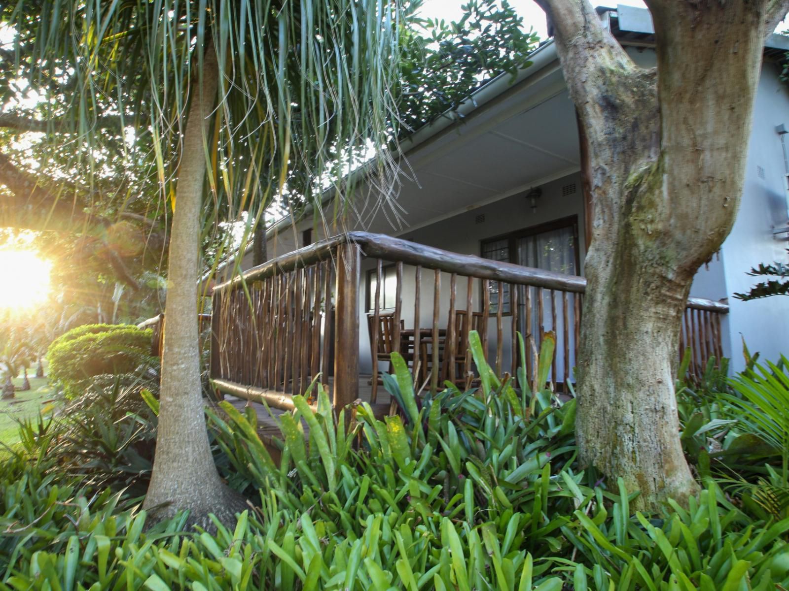 Leopard Corner Lodge, House, Building, Architecture, Palm Tree, Plant, Nature, Wood