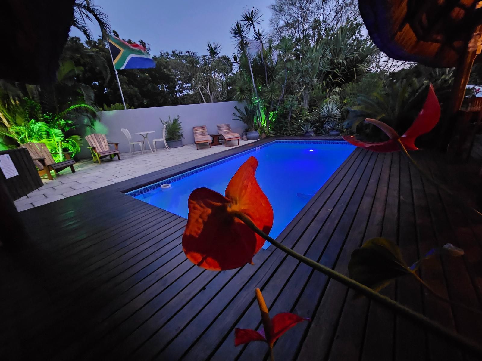 Leopard Corner Lodge, Palm Tree, Plant, Nature, Wood, Swimming Pool