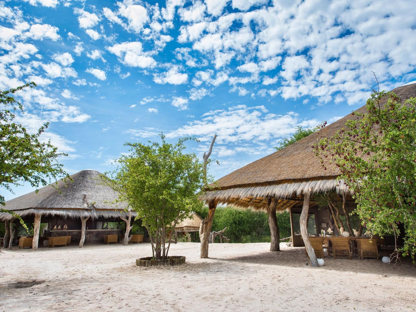 Leopard Plains Maun North West Botswana Complementary Colors, Beach, Nature, Sand, Island