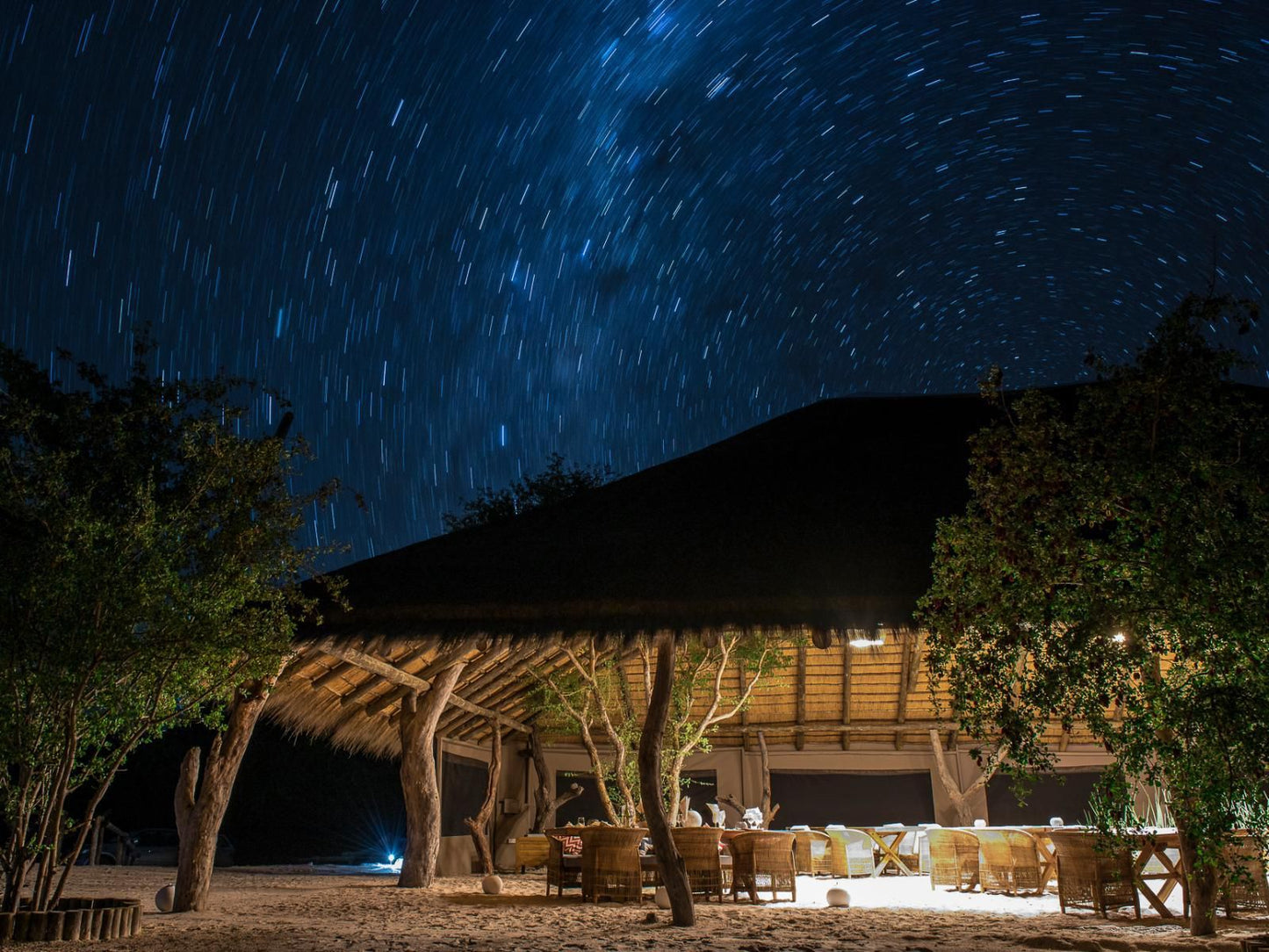 Leopard Plains Maun North West Botswana Night Sky, Nature