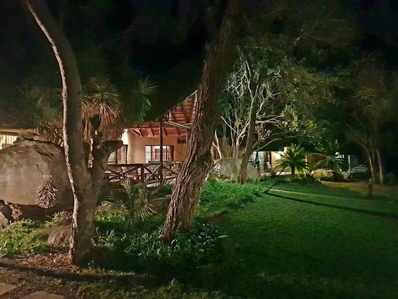 Leopard Rock Lodge Hoedspruit Limpopo Province South Africa Palm Tree, Plant, Nature, Wood