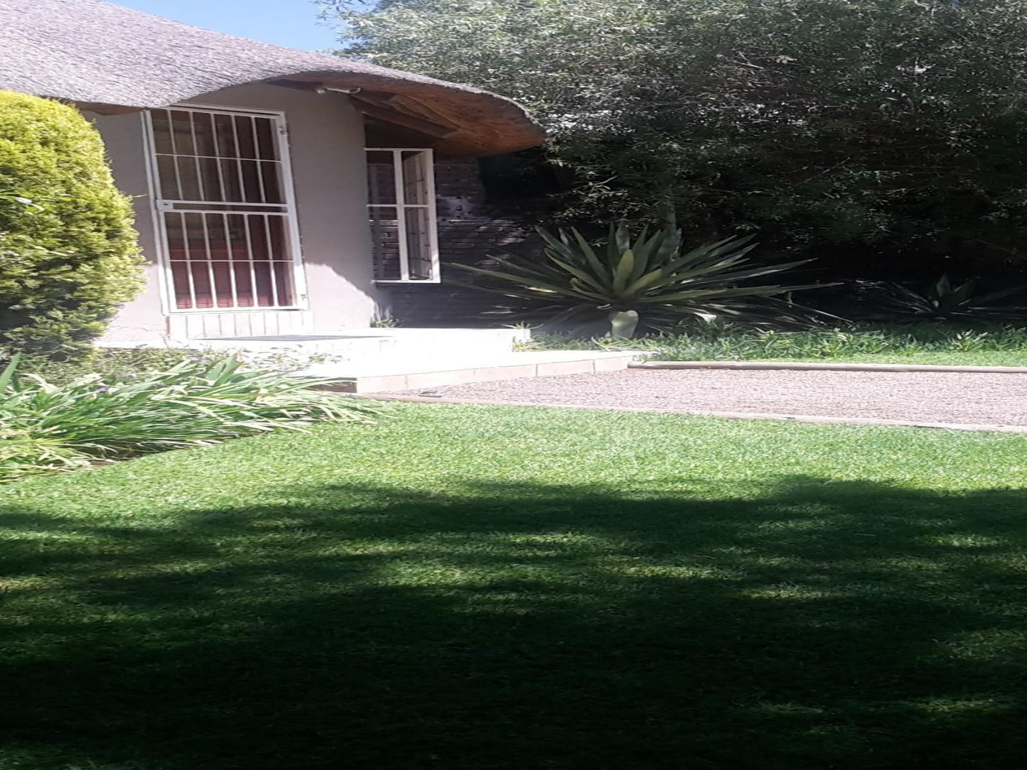 Leopard Tree Guest Village Groblershoop Northern Cape South Africa House, Building, Architecture, Palm Tree, Plant, Nature, Wood