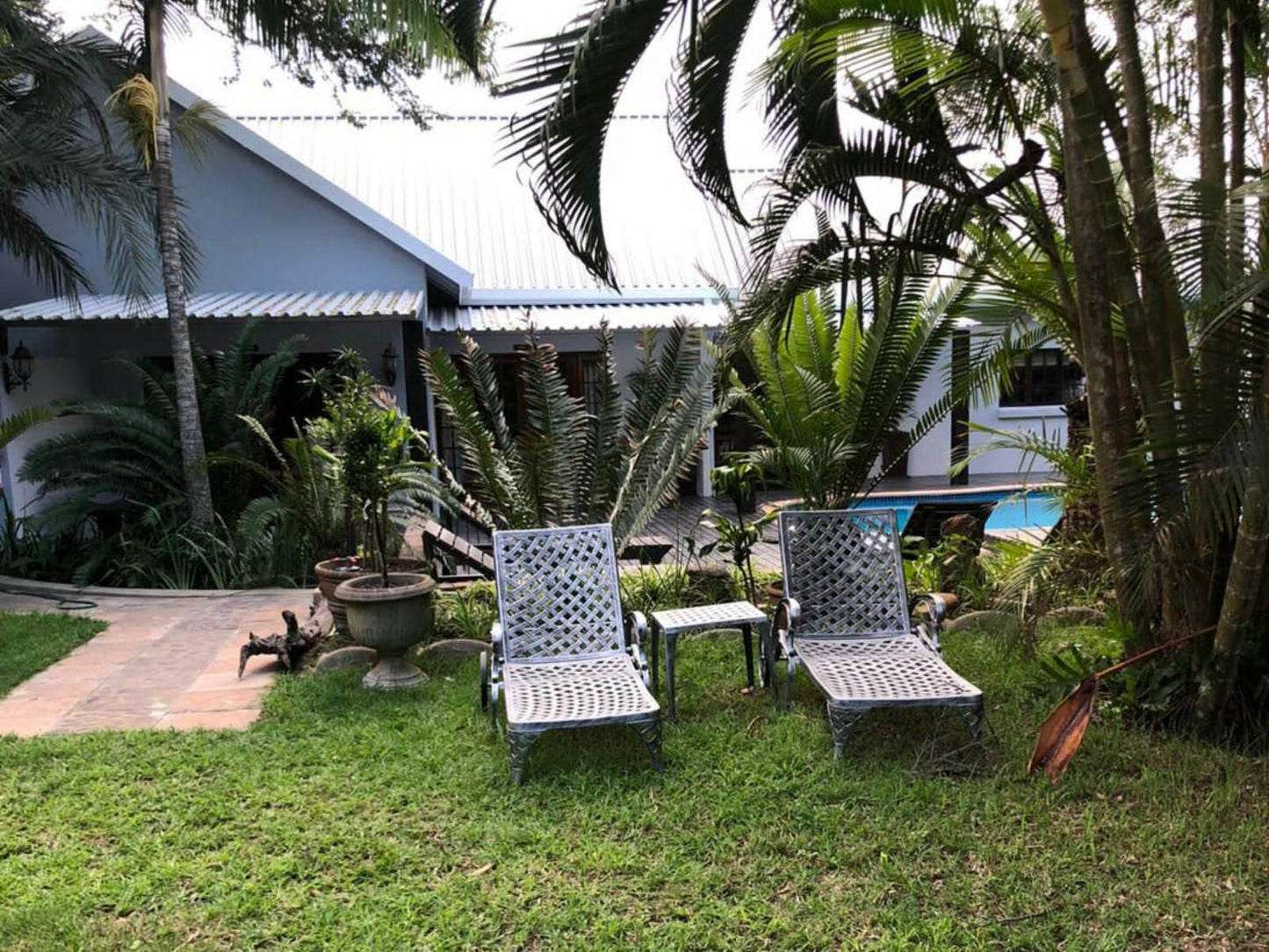 Leopard Tree Lodge, Palm Tree, Plant, Nature, Wood